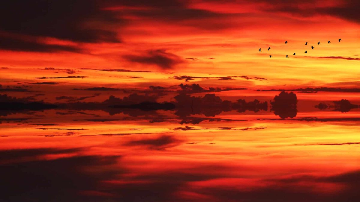 South Africa Market Surveillance Code of Conduct